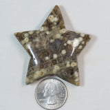 Polished Ocean Jasper Star from Madagascar