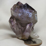 Shangaan Amethyst Cluster with Sceptre Points from Zimbabwe