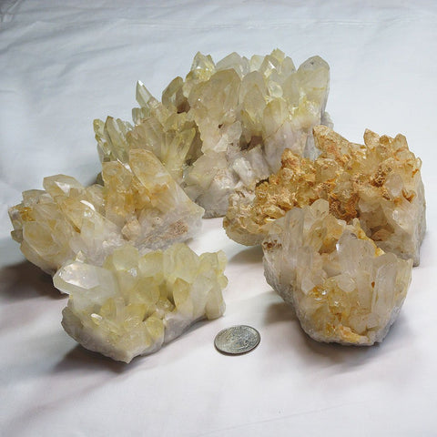 5 Lemon Healer Quartz Crystal Clusters | Blue Moon Crystals