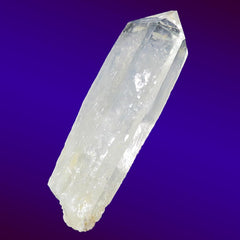 Colombian Lemurian