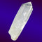 Colombian Lemurian