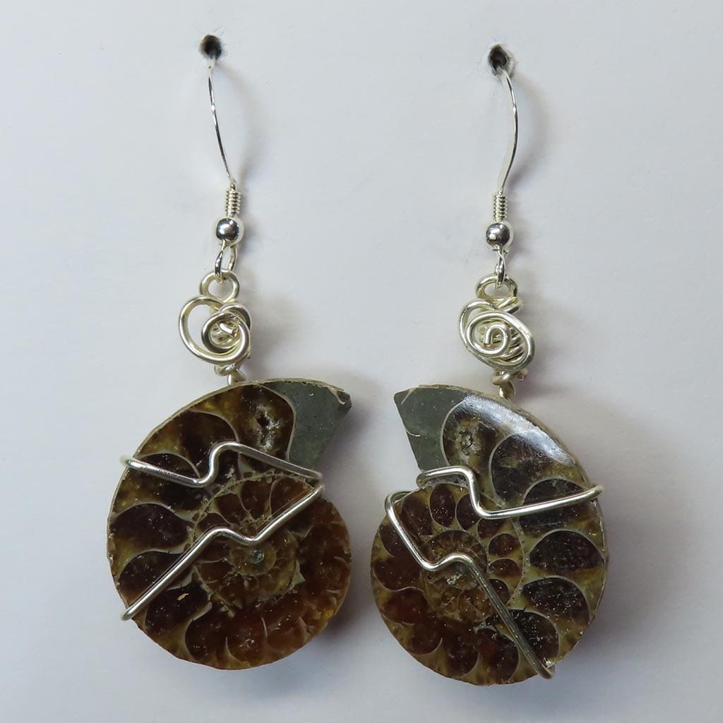 Ammonite Fossils from Madagascar Earrings Jewelry
