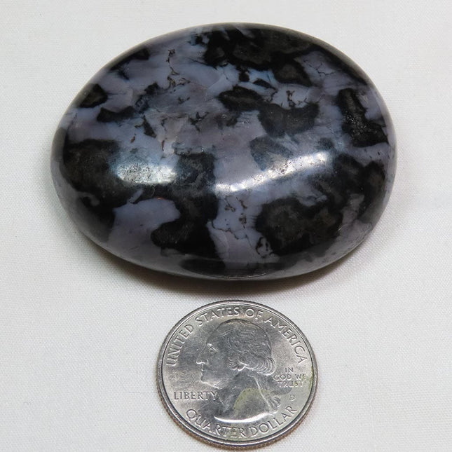 Polished Indigo Gabbro Palm Stone from Madagascar next to a U.S. quarter dollar for scale on a white background