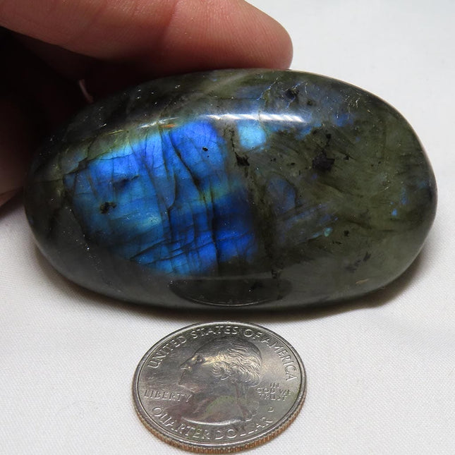 Polished Labradorite Palm Stone from Madagascar with blue flash next to a U.S. quarter dollar coin for scale on a white background