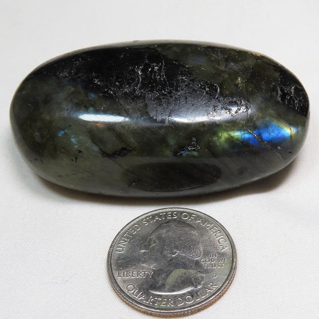 Polished Labradorite Palm Stone from Madagascar with blue/gold flash next to a U.S. quarter dollar coin for scale on a white background