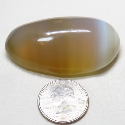 Polished Banded Agate Palm Stone from Madagascar next to a U.S. quarter coin for scale on a white background