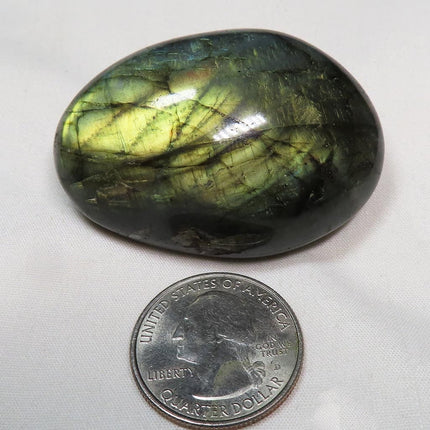 Polished Labradorite Palm Stone from Madagascar next to a U.S. quarter dollar for scale on a white background