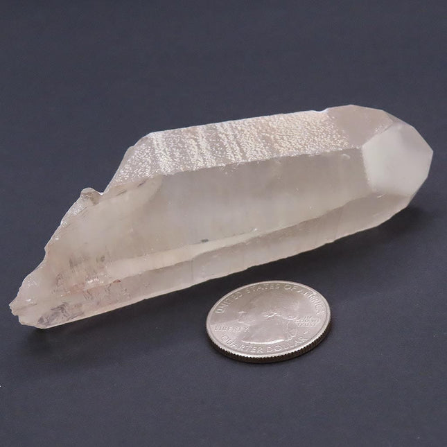 Pink Lemurian Seed Quartz Crystal Point with Phantom from Brazil next to a quarter for scale on a dark background