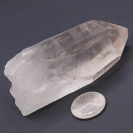 Pink Lemurian Seed Quartz Crystal Point from Brazil next to a U.S. quarter on a dark background