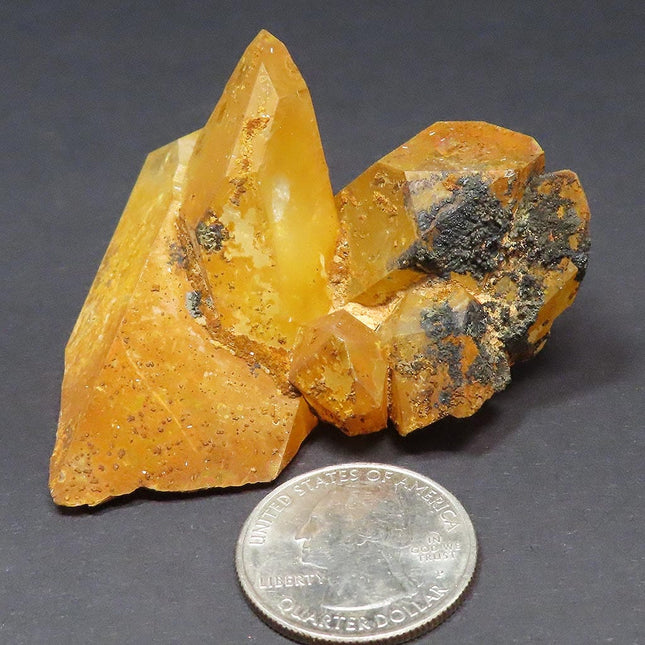 Arkansas Natural Uncleaned Quartz Crystal Cluster w/ Some Iridescence on a dark gray background with a U.S. quarter for scale.