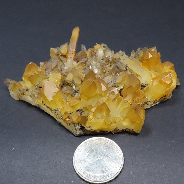 Arkansas Natural Uncleaned Quartz Crystal Burr Cluster with a U.S. quarter for scale on a dark background