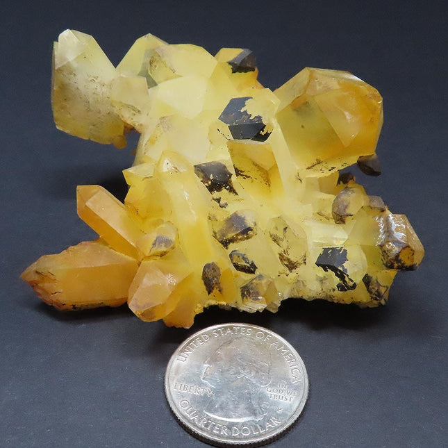 Arkansas Natural Uncleaned Quartz Crystal Cluster next to a U.S. quarter dollar coin for scale on a dark background