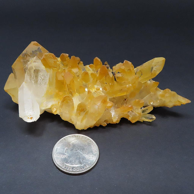 Arkansas Uncleaned Quartz Crystal Cluster with 3 Time-Link Activations next to a U.S. quarter for scale on a dark background