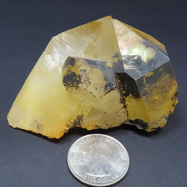 Arkansas Natural Uncleaned Quartz Crystal Cluster w/ Some Iridescence with a U.S. quarter for scale on a dark background