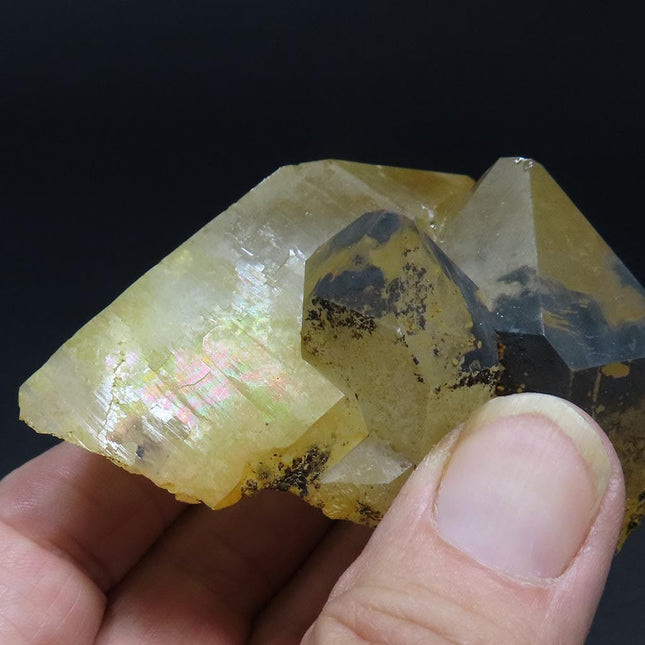 Hand holding an Arkansas Natural Uncleaned Quartz Crystal Cluster w/ Some Iridescence with a dark background