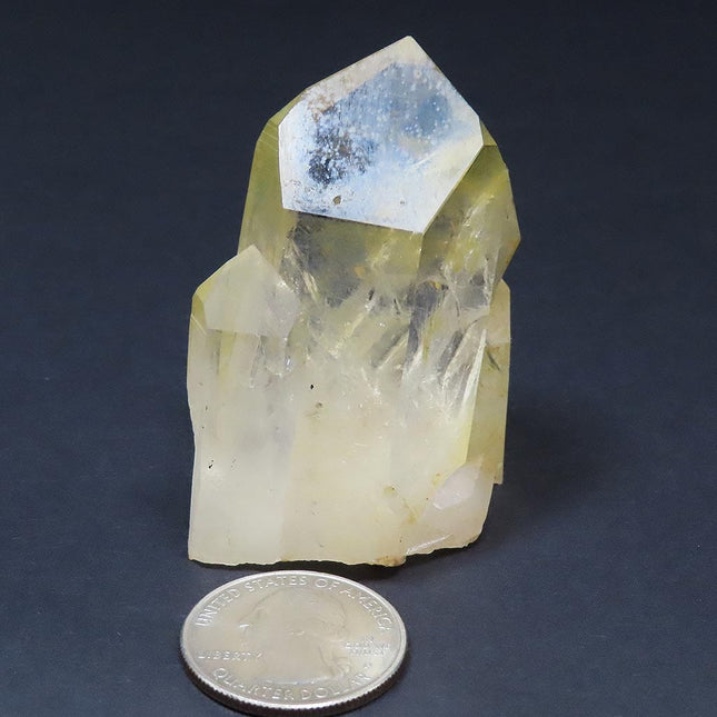 Arkansas Natural Uncleaned Quartz Crystal Cluster with a U.S. coin for scale on a dark background