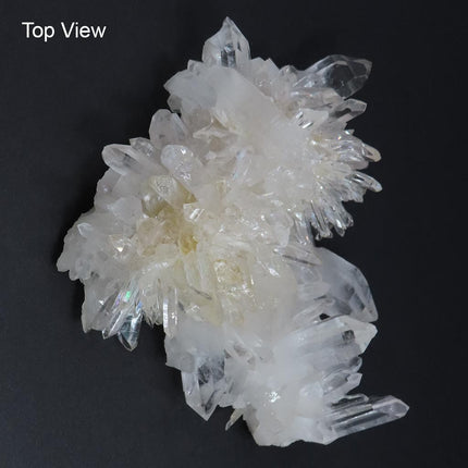 Top View of Arkansas Quartz Crystal Cluster w/ Window & Time-Link Activations and a US quarter for scale on a black background