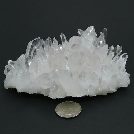 Arkansas Quartz Crystal Cluster with Time-Link Activations and a quarter for scale on a black background