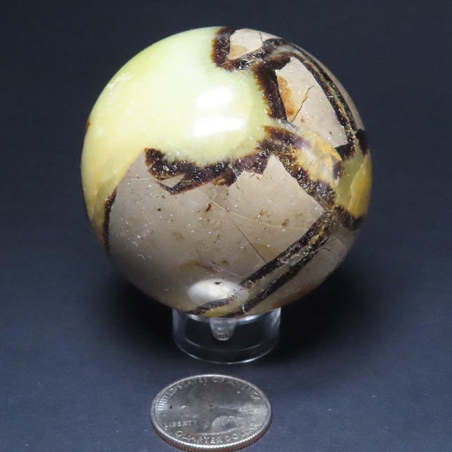 Polished Septarian Nodule Sphere Ball from Madagascar on a stand with a quarter for scale against a dark background