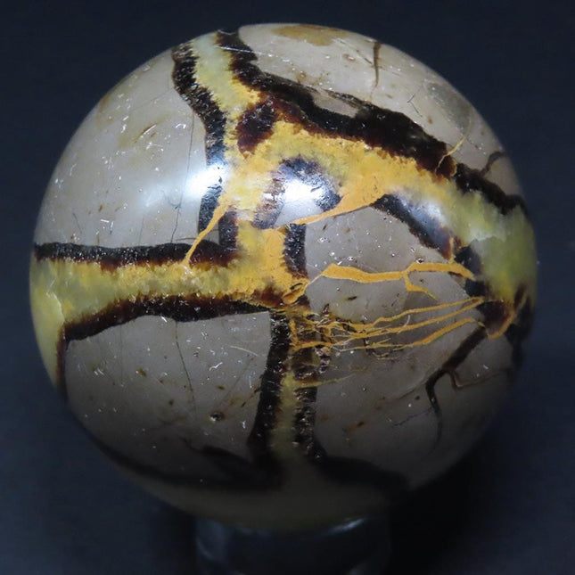 Polished Septarian Nodule Sphere Ball from Madagascar on a stand with a quarter for scale against a dark background