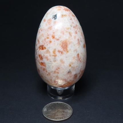 Polished Sunstone Egg from India on a stand with a US quarter for scale on a black background
