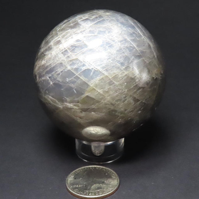 Polished Black Moonstone Sphere Ball from Madagascar on a stand with a US quarter for scale against a dark background