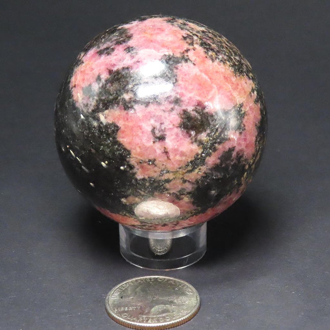 Polished Rhodonite Sphere Ball from Madagascar on a stand with a US quarter for scale against a dark background