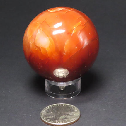 Polished Carnelian Agate Sphere Ball from Madagascar on a stand with a US quarter for scale on a dark background