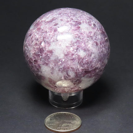 Polished Lepidolite Sphere Ball from Brazil on a stand with a US quarter for scale against a black background