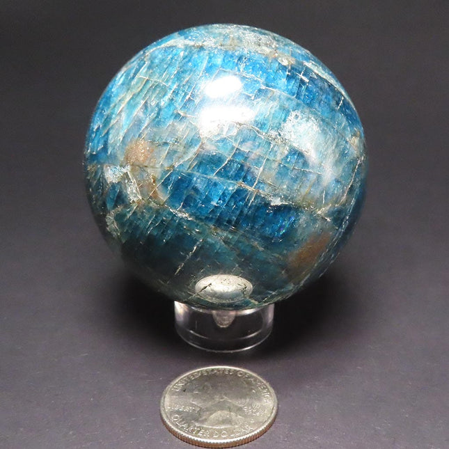 Polished Blue Apatite Sphere Ball from Madagascar on a dark gray background with a US quarter for scale