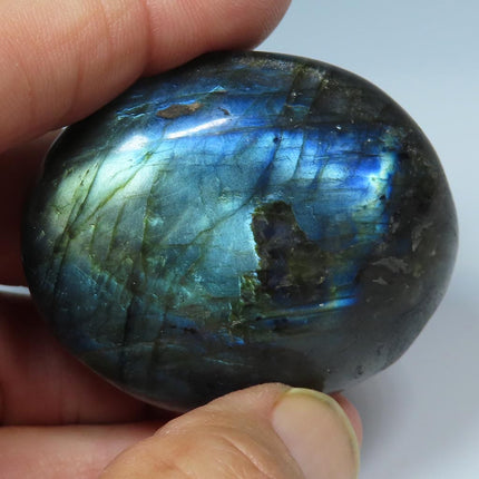 Polished Labradorite Palm Stone from Madagascar held between fingers with a white background