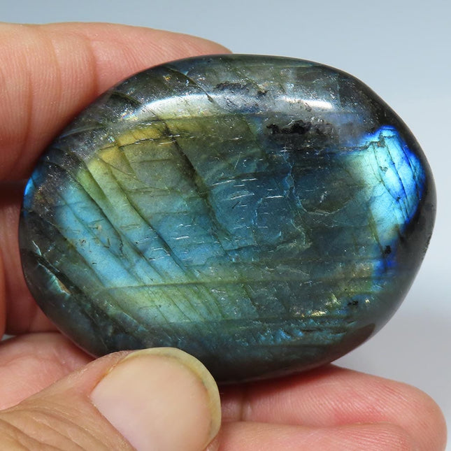 Polished Labradorite Palm Stone from Madagascar held between fingers with a white background