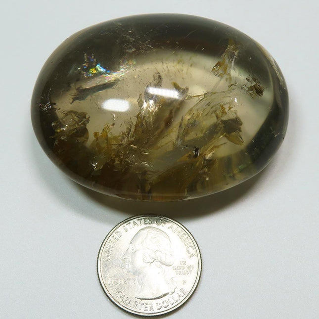 Polished Smoky Quartz Palm Stone with Rainbows from Brazil next to a quarter for scale on a white background