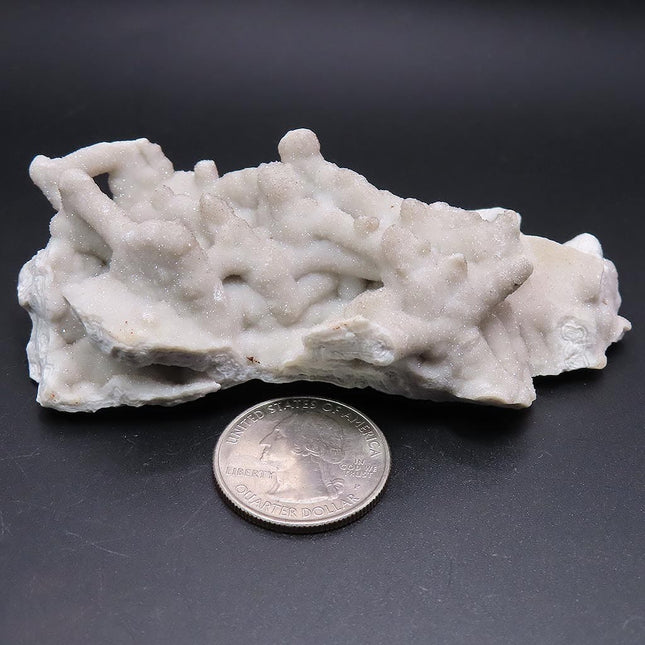 Sparkling Silver Grey Botryoidal Drusy Quartz Specimen from Missouri next to a U.S. quarter on a dark surface