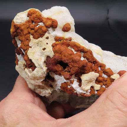 Sparkling White Botryoidal Drusy Quartz with Barite from Missouri with a quarter for scale on a black background