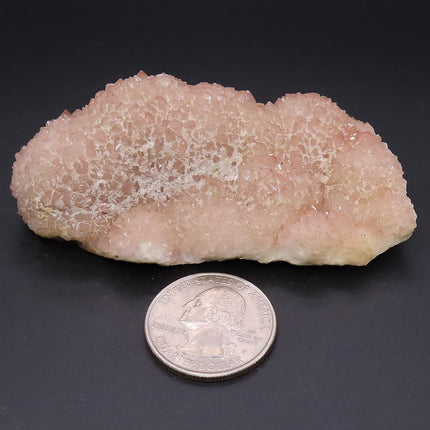 Sparkling Pink Botryoidal Drusy Quartz Specimen from Missouri next to a quarter coin on a black background