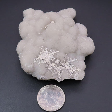 Sparkling Silver Grey Botryoidal Drusy Quartz Specimen from Missouri with a quarter for scale on a black background