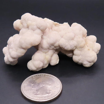 Sparkling Pink Botryoidal Drusy Quartz Specimen from Missouri next to a U.S. quarter on a dark background