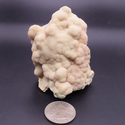 Rare Sparkling Pink Botryoidal Drusy Quartz Specimen from Missouri next to a U.S. quarter on a dark background