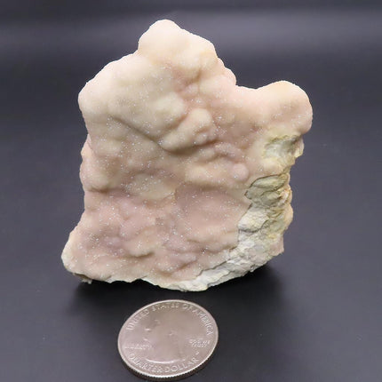 Rare Sparkling Pink Botryoidal Drusy Quartz Specimen from Missouri on a dark background with a quarter for scale