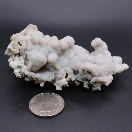 Sparkling Silver Grey Botryoidal Drusy Quartz Specimen from Missouri on a dark background with a quarter for scale
