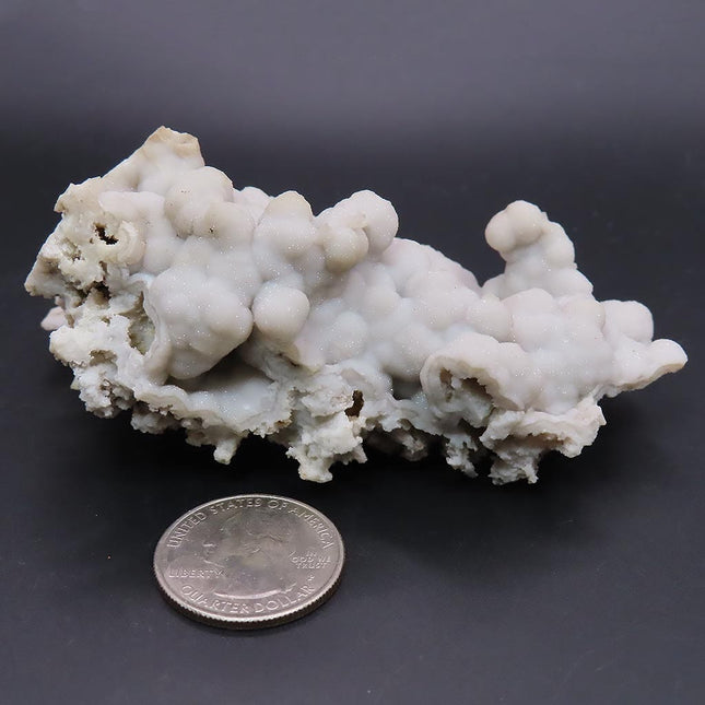 Sparkling Silver Grey Botryoidal Drusy Quartz Specimen from Missouri on a dark background with a quarter for scale