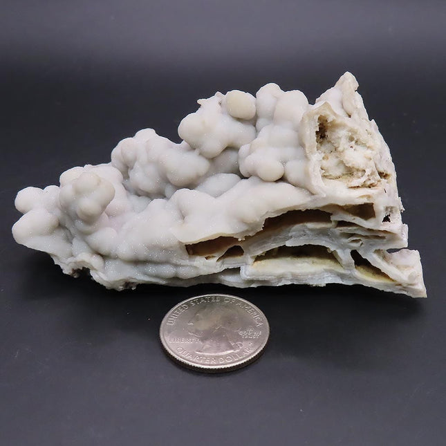 Sparkling Silver Grey Botryoidal Drusy Quartz Specimen from Missouri on a dark background with a quarter for scale