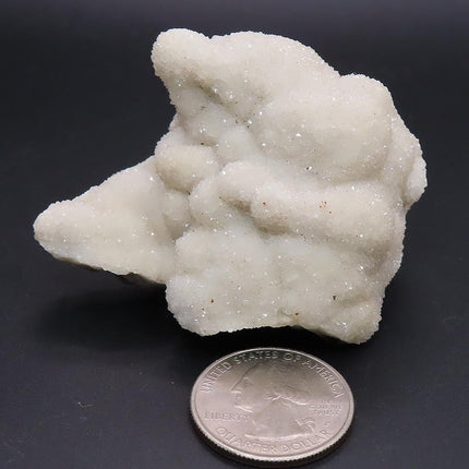 Sparkling White Botryoidal Drusy Quartz Specimen from Missouri next to a U.S. quarter on a black background