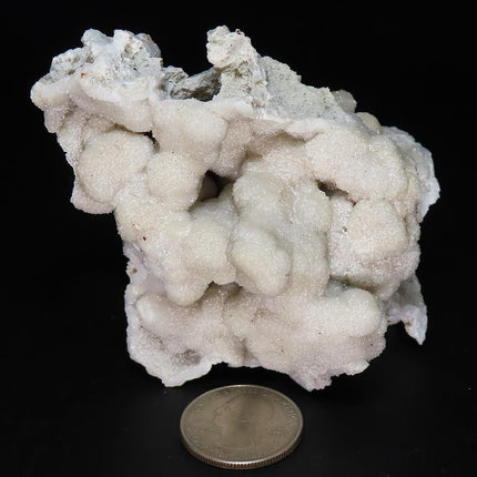 Sparkling White Botryoidal Drusy Quartz Specimen from Missouri with a quarter for scale on a black background