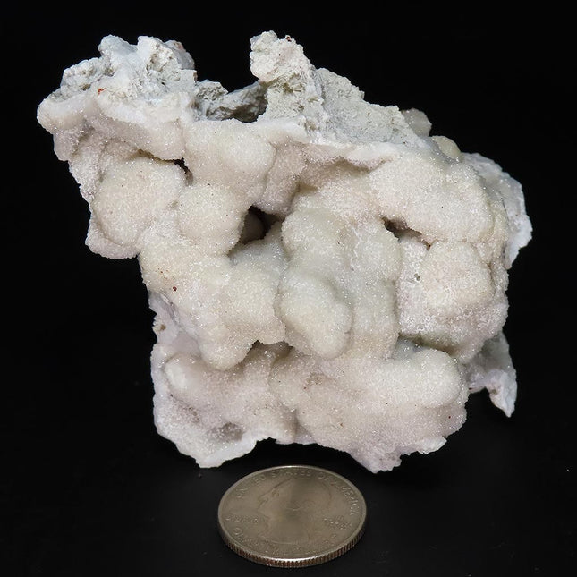 Sparkling White Botryoidal Drusy Quartz Specimen from Missouri with a quarter for scale on a black background