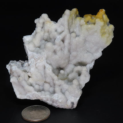 Sparkling Silver Grey Botryoidal Drusy Quartz Specimen from Missouri next to a quarter for scale with a black background
