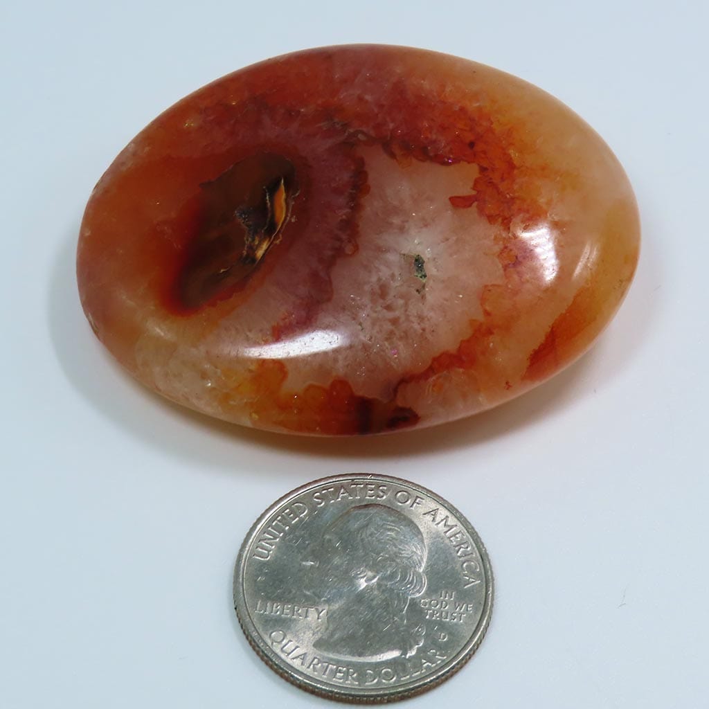 Polished Carnelian Agate Palm Stone from Madagascar – Blue Moon