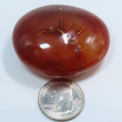 Polished Carnelian Agate Palm Stone from Madagascar next to a U.S. quarter for scale on a white background