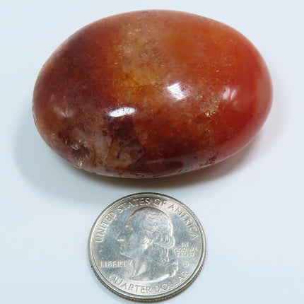 Polished Carnelian Agate Palm Stone from Madagascar next to a U.S. quarter coin for scale on a white background